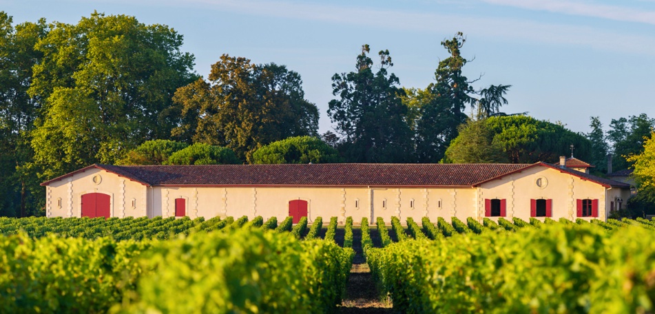 CHATEAU BROWN 7deci
